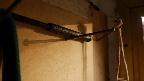 Hand taking riding crop Vídeos de archivo 119616746