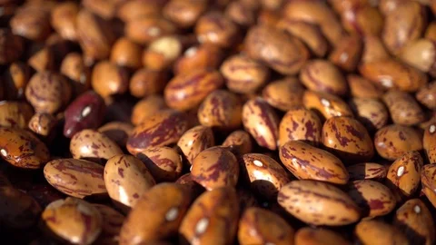 A Hand Taking a Seed, Macro Stock Footage 95648742
