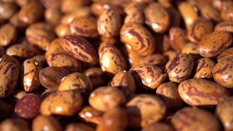 A Hand Taking a Seed, Slow Motion and Macro Stock Footage 95648382