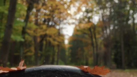 Hand Taking Takeaway Coffee Cup in Autumn Forest Vídeos de archivo 327464028