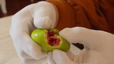 Hand Tapping and Breaking Open Fresh Fig Revealing Red Interior Close-Up Stockbeeldmateriaal 347995863