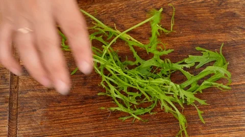 The hand tears the rucola on the salad Stock Footage 84484098