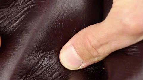 Hand testing outer side of brown natural smooth shiny glossy leather, closeup Видео 135290764