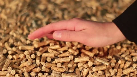 Hand testing a pile of birch wooden pellets Stock Footage 70670673