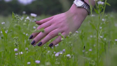 Hand through flowers and grass slowmotion Video stock 135333887