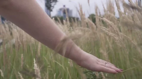 Hand through the grass 스톡 동영상 99975021