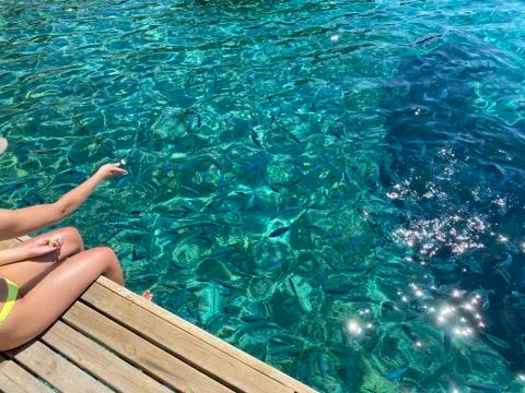Hand throwing bread to fish Stock Photos