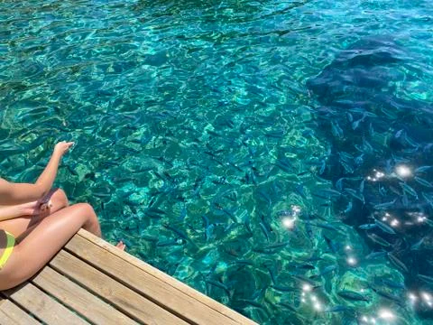 Hand throwing bread to fish Stock Photos