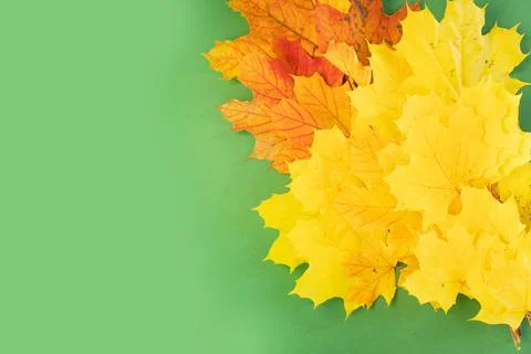 Hand throwing leaves Stock Photos