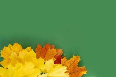 Hand throwing leaves Stock Photos