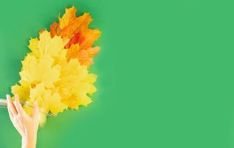 Hand throwing leaves Stock Photos