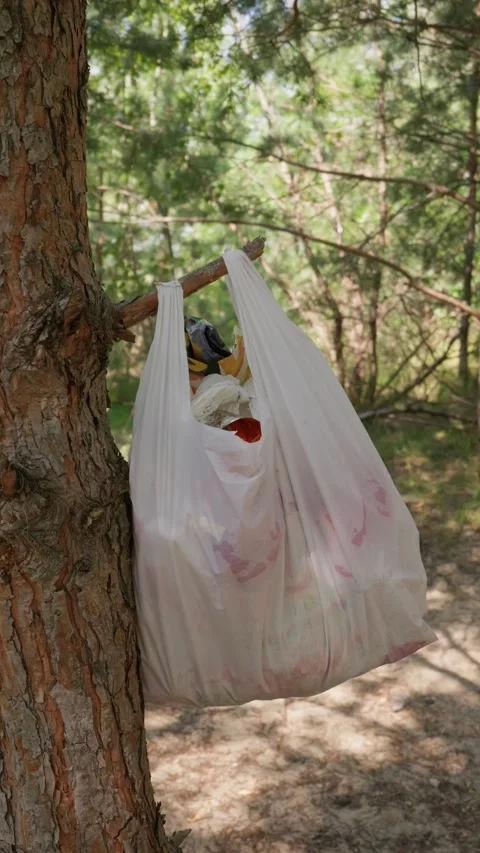 Hand Throwing Waste Into Plastic Trash Bag Hanging on Forest Tree Stock Footage 342767206