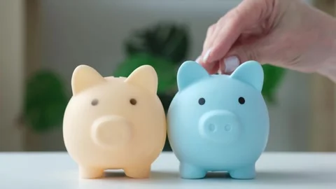 Hand throws coins into two piggy banks in turn. Investments diversity concept Stock Footage 276666983