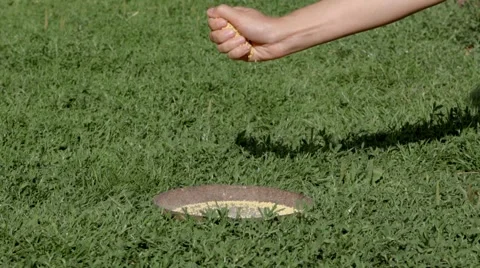 Hand throws corn Stock Footage 51935948