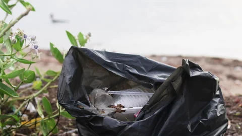 Hand throws garbage into bag on beach. Stock Footage 284418102