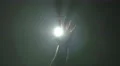 The hand thumb up on the background of bright light. Real time capture 4k or 4k+ Resolution