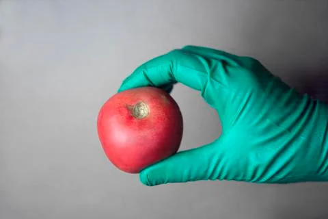 Hand With Tomato Photos