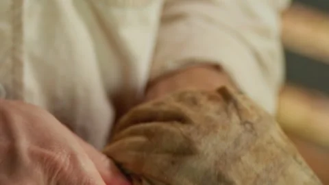 Hand tools 5 動画素材 318220273