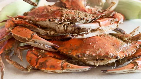 Hand tosses 2 steamed blue crabs on pile Stock Footage 344906260