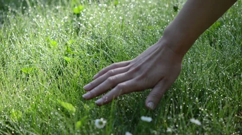 Hand Touching Grass Stock Video Footage for Free Download