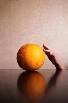 Hand touches the melon, which is reflected on the table Stock Photos