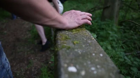 Hand touches moss Stock Footage 80114002