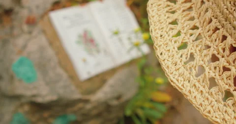 Hand touches stone-embedded botanical tile book with plant illustration and text Video stock 313307441