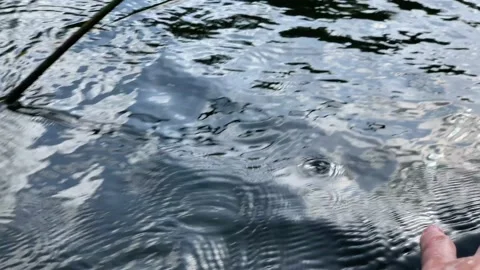 Hand touches water Stock Footage 137954480