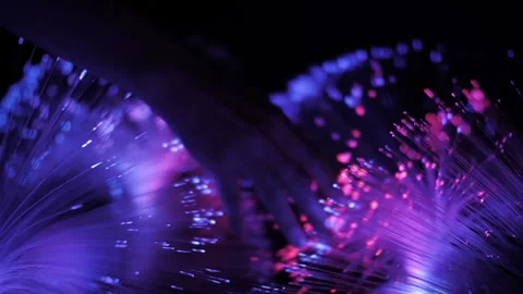 Hand Touching Abstract Christmas Lights Stock Footage 236732928