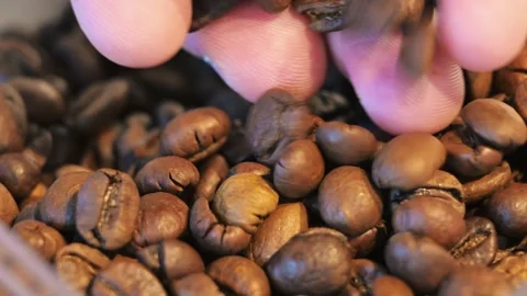 Hand Touching and Moving Through Roasted Coffee Beans – Close-Up Stock Footage 345203727