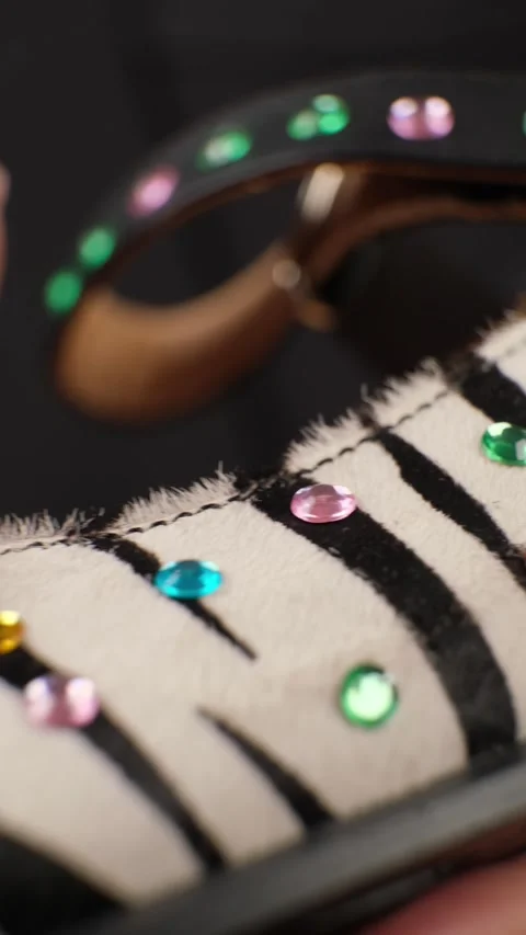 Hand Touching Beaded Zebra Pattern Shoe Stock Footage 303774677