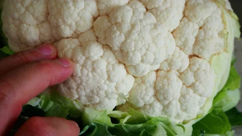 A hand touching cauliflower vegetable, close-up cauliflower, 動画素材 141686703