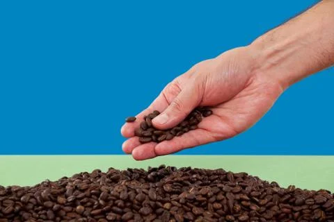 Hand touching coffee beans Stock Photos