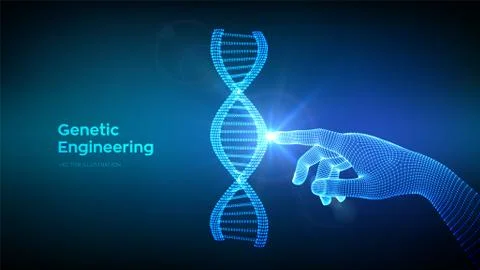 Hand touching DNA sequence molecules structure mesh. Wireframe DNA code edita Illustration
