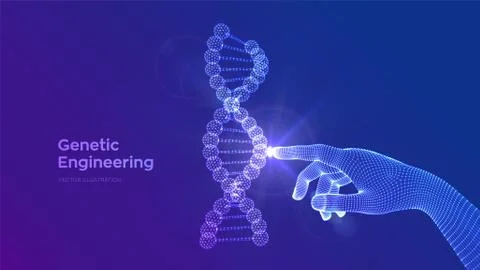 Hand touching DNA sequence molecules structure mesh. Wireframe DNA code edita Illustrazione stock