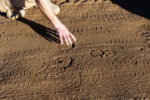 Hand touching dry sand surface, field researcher inspecting texture and trace Foto stock