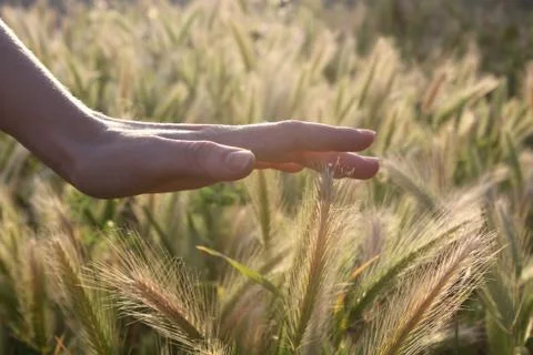 Hand touching each pin Stock Photos