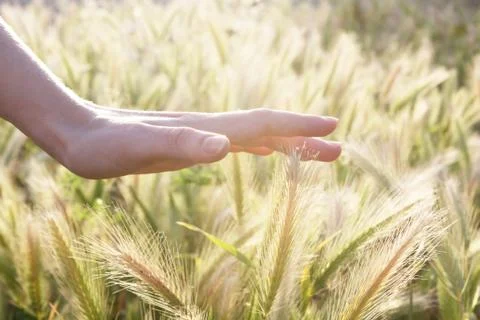 Hand touching each pin Stock Photos
