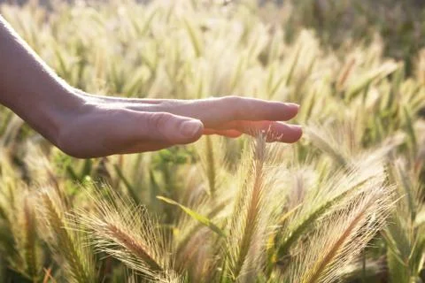 Hand touching each pin Stock Photos
