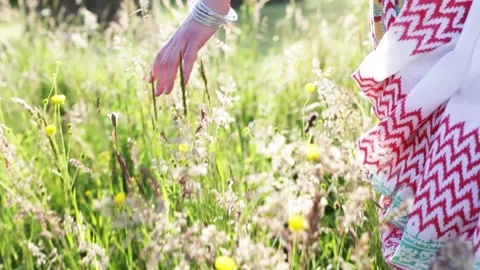 Hand touching field flowers with sun flare in motion Stock Footage 144552999
