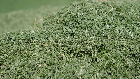 Hand touching the freshly cut grass of a football stadium 動画素材 106092085