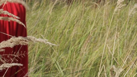 Hand touching grass in field Video stock 103280419