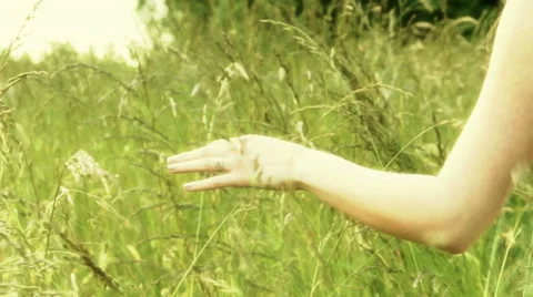 Hand touching the grass Stock Footage 39352283