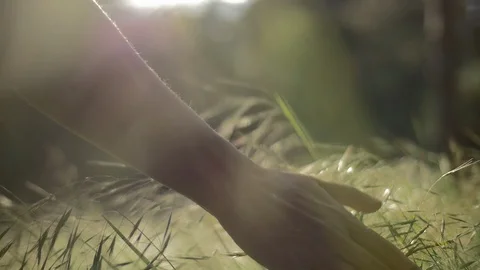 Hand touching grass Stock Footage 123520587