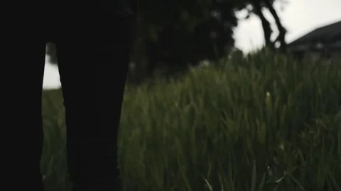 Hand touching grass while walking / moving shot Stock Footage 85224271