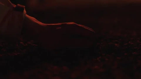 Hand touching gravel dramatic fire - cinematic shot 스톡 동영상 246392506