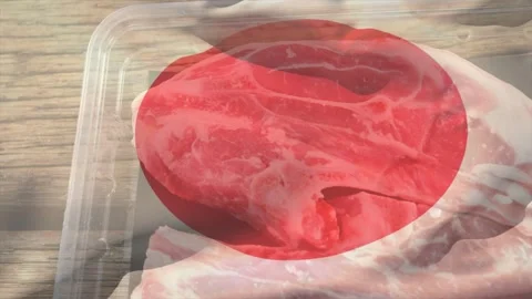 Hand touching meat cut, camera panning revealing pork cuts, shifting red circle Stock Footage 329471998