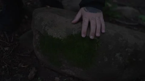Hand touching a moss-covered rock in a forest, symbolizing... Stock-Footage 336193749