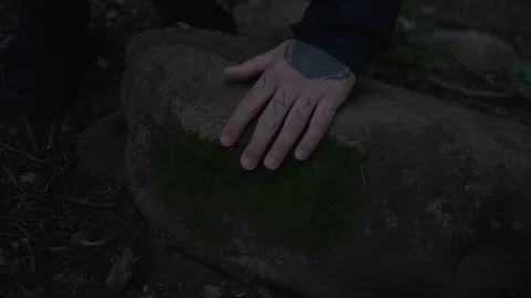 Hand Touching Mossy Rock In Forest, Representing Grounding... Видео 336193585