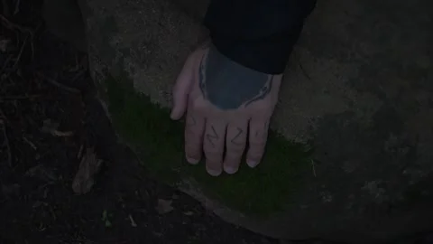 Hand Touching Mossy Rock In Forest, Representing... Vídeo Stock 336193645